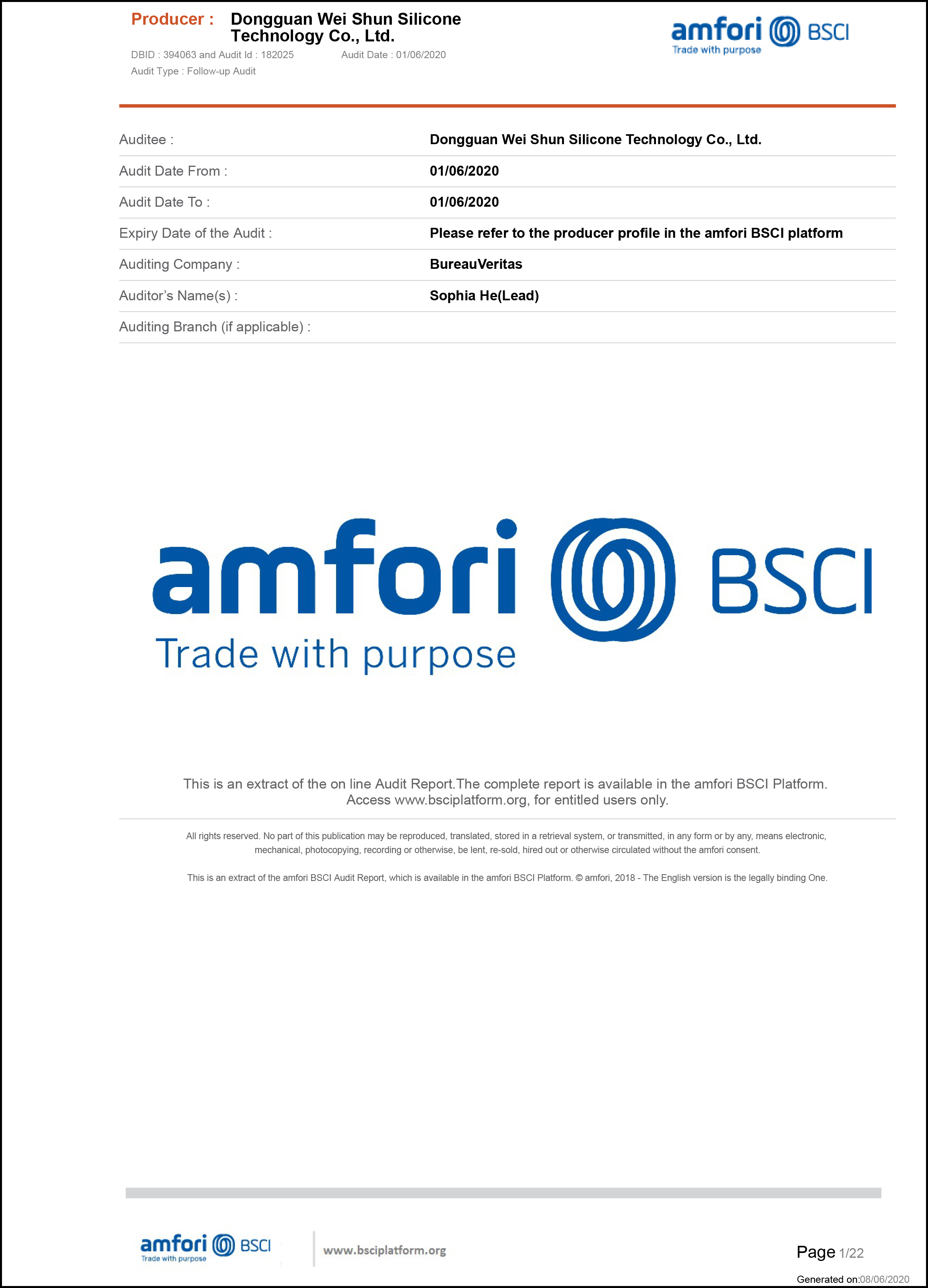 bsci 描邊 bsci 描邊